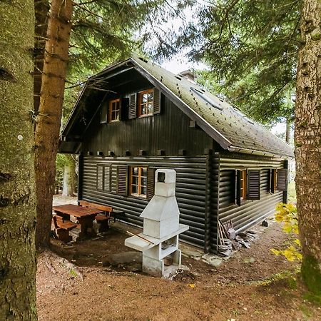 Chalet Liza & Rozi Zgornja Loznica Exterior photo