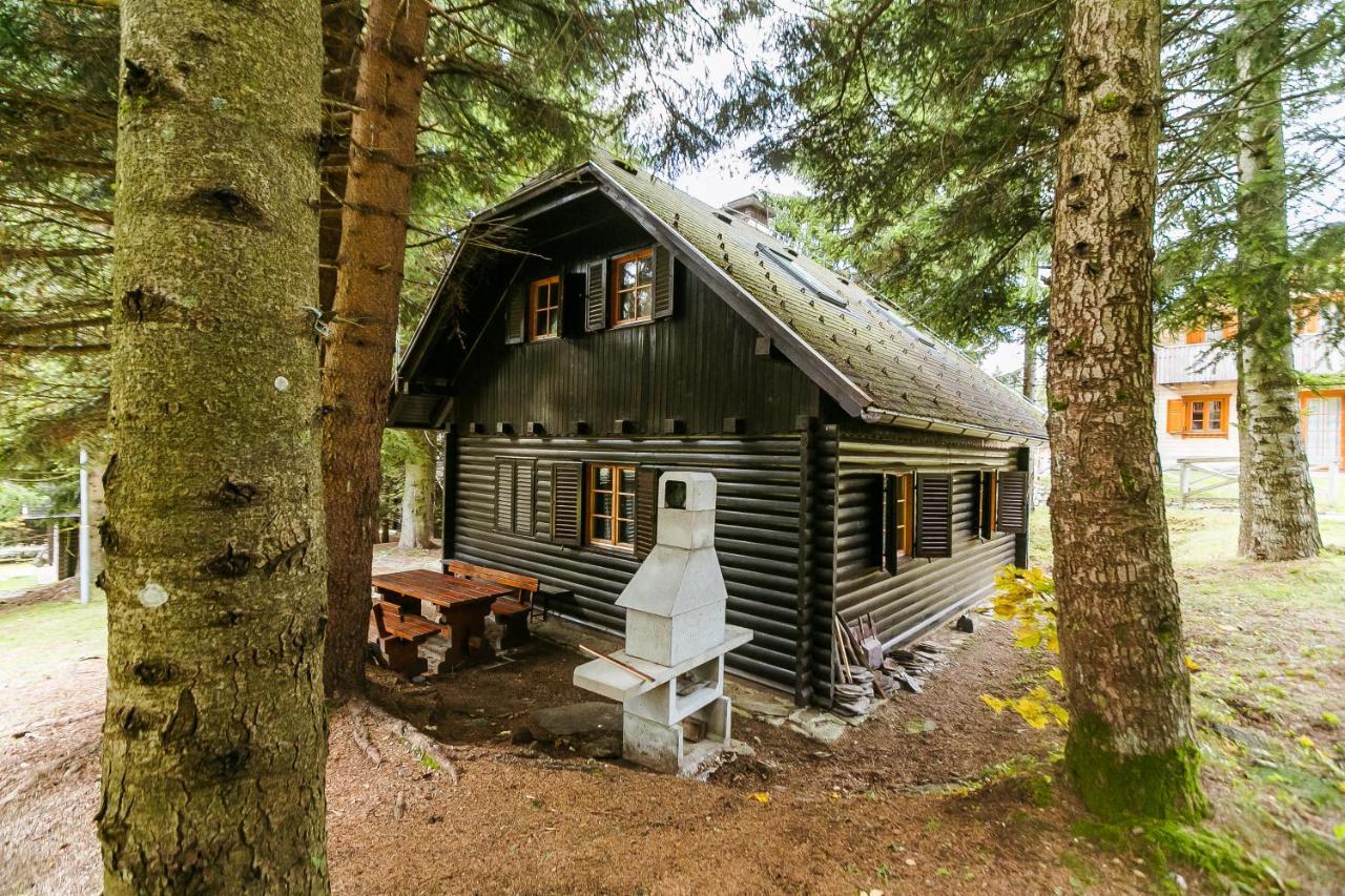 Chalet Liza & Rozi Zgornja Loznica Exterior photo