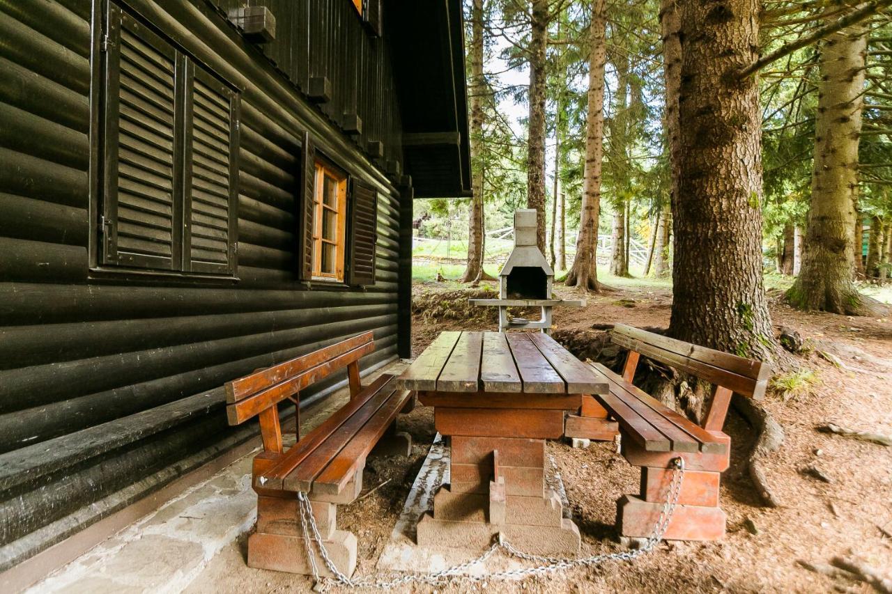 Chalet Liza & Rozi Zgornja Loznica Exterior photo