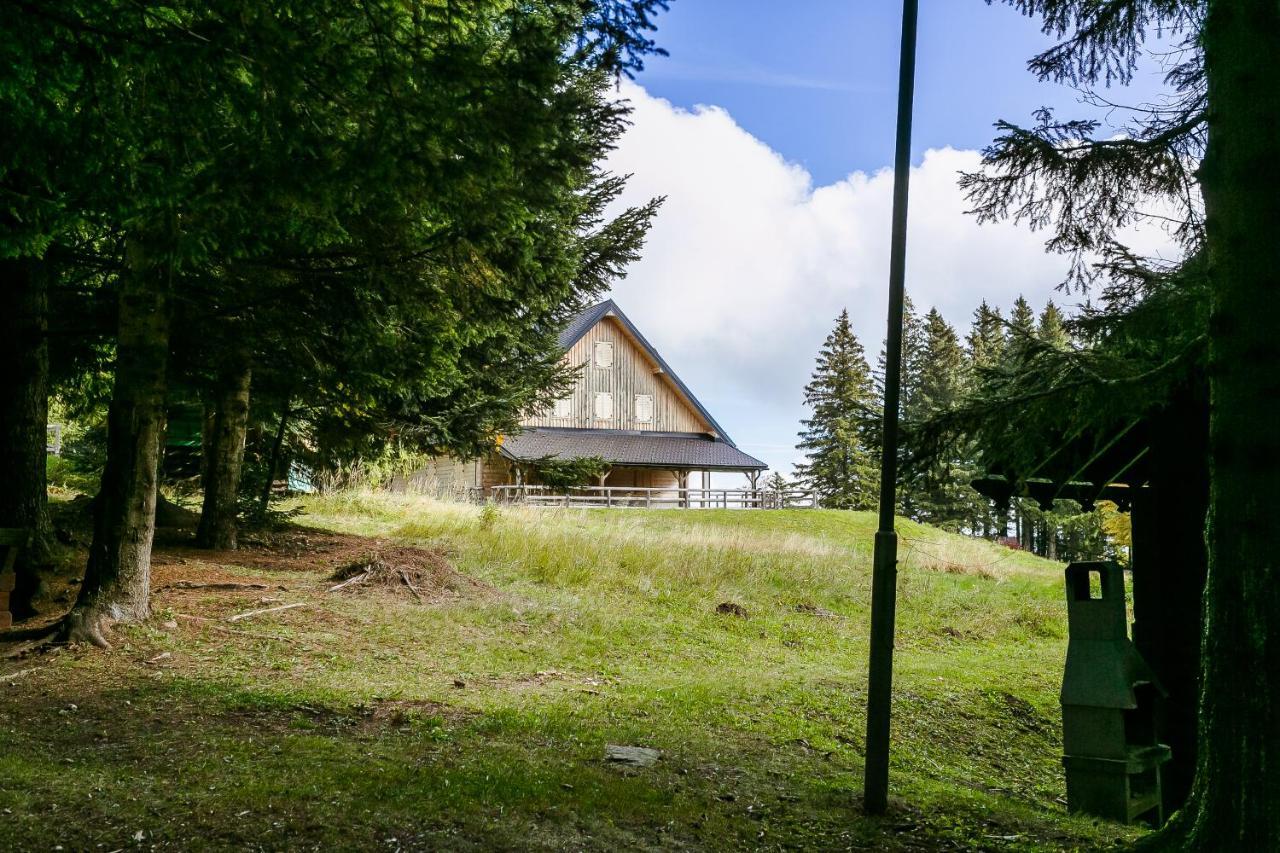 Chalet Liza & Rozi Zgornja Loznica Exterior photo