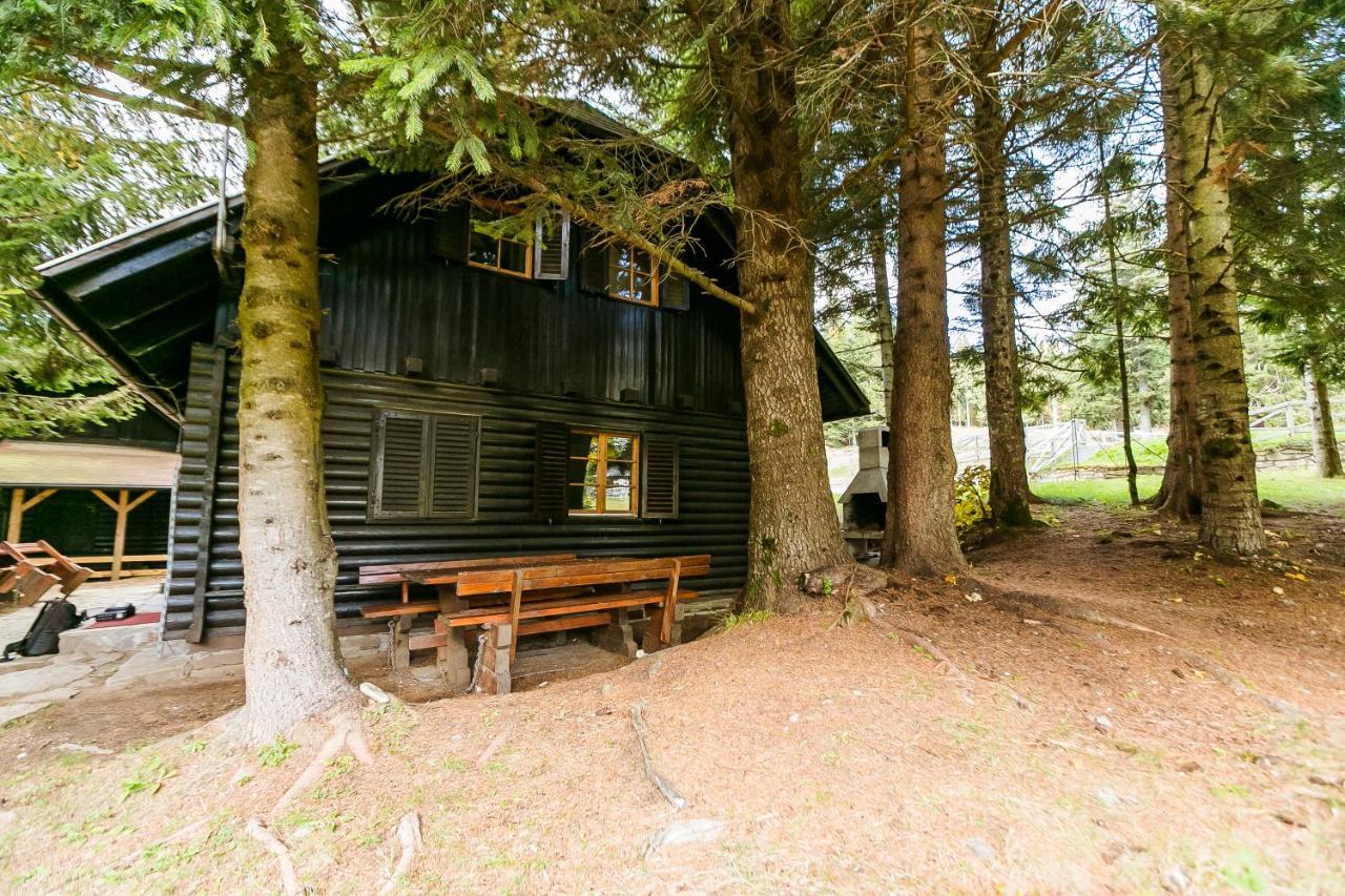 Chalet Liza & Rozi Zgornja Loznica Exterior photo